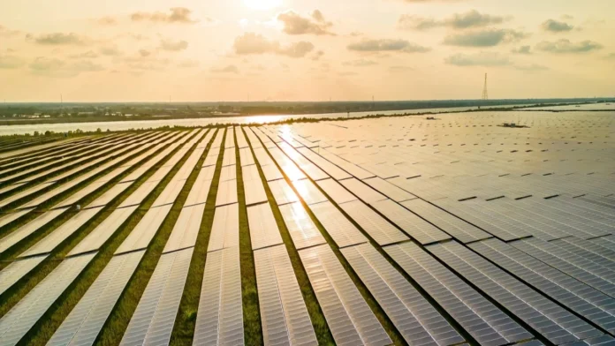 best-brands-halka-arz-oluyor Best Brands Halka Arz Oluyor