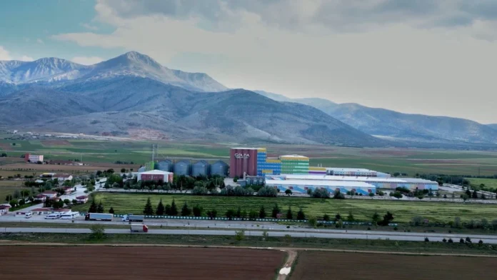 golda-gida-halka-arz